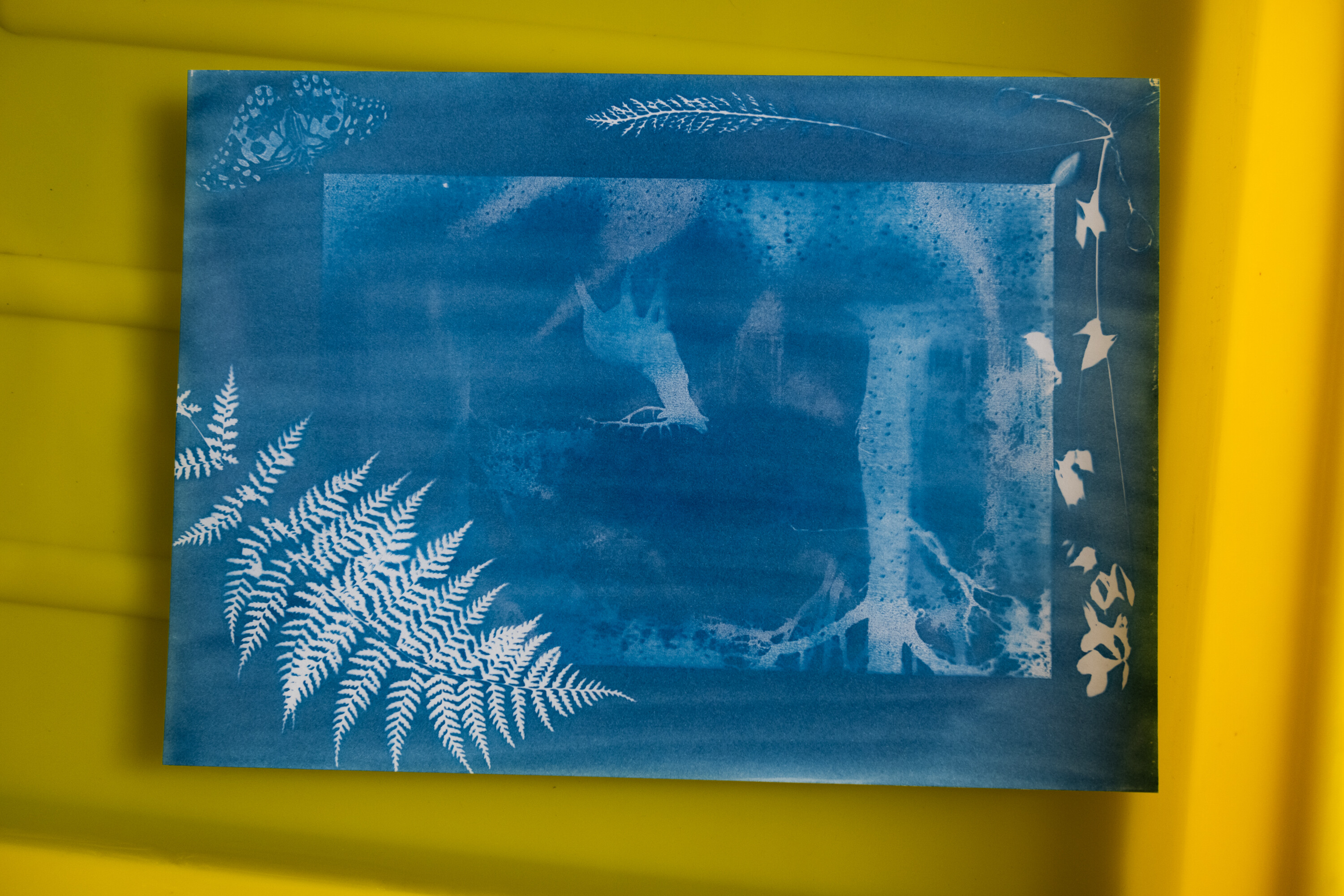 Warsztaty Cyjanotypia z Pauliną Skonieczna w Katowicach 2024 Warsztaty Cyjanotypia zorganizowane przez Radosława Czaplę, Karola Małotę i pracownię drukFineArt.pl w MDK Bogucice-Zawodzie w Katowicach 2024. Prowadząca warsztaty Paulina Skonieczna.