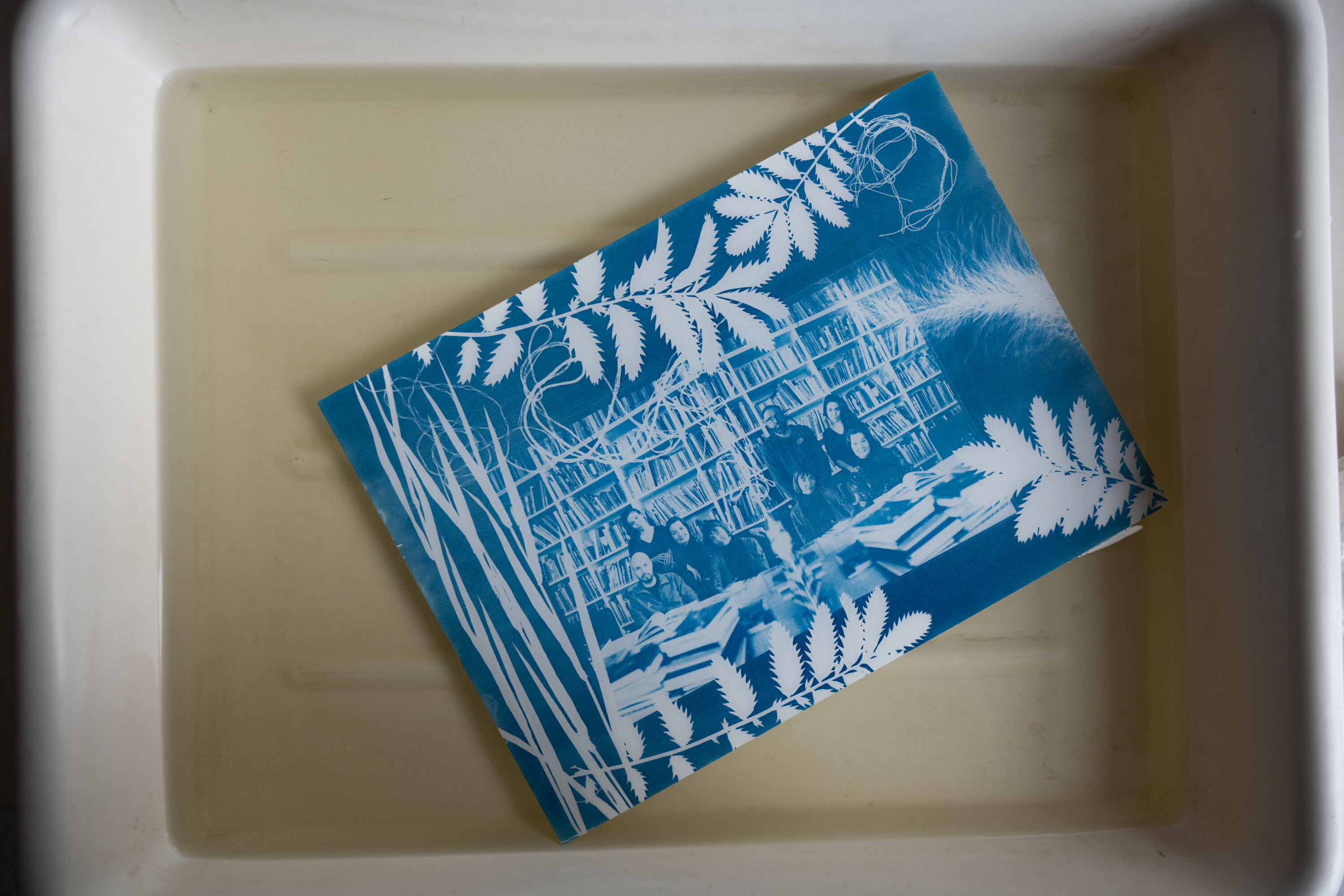 Warsztaty Cyjanotypia z Pauliną Skonieczna w Katowicach 2024 Warsztaty Cyjanotypia zorganizowane przez Radosława Czaplę, Karola Małotę i pracownię drukFineArt.pl w MDK Bogucice-Zawodzie w Katowicach 2024. Prowadząca warsztaty Paulina Skonieczna.